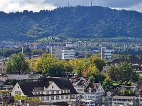 Oppidum Zürich-Lindenhof