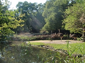 Zoo de Bâle