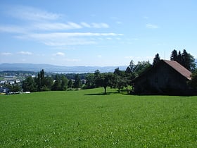 steinhausen