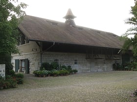 basel historical museum bazylea