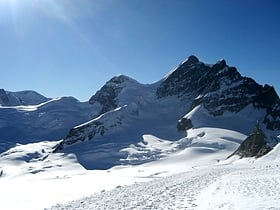 jungfraujoch alpes suisses jungfrau aletsch