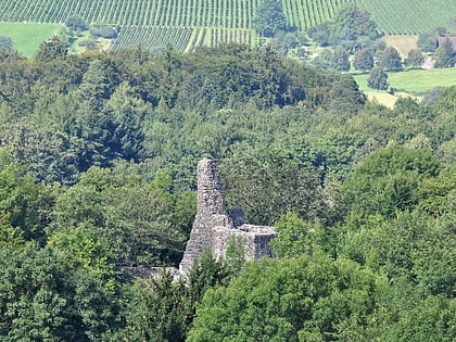 alt regensberg castle regensdorf