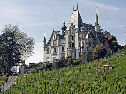 chateau de meggenhorn