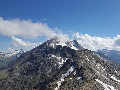 piz timun