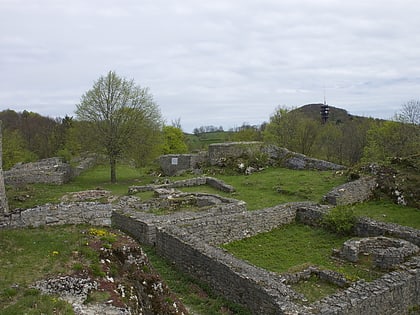 ruine frohburg