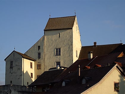 schloss klingnau