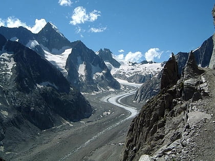 oberaletsch glacier alpes suisses jungfrau aletsch