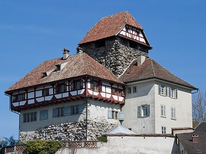 frauenfeld castle