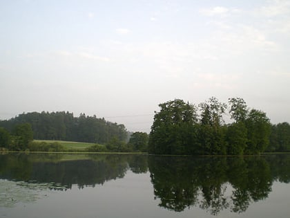 Lac d'Inkwil