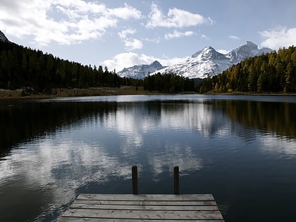 piz albana