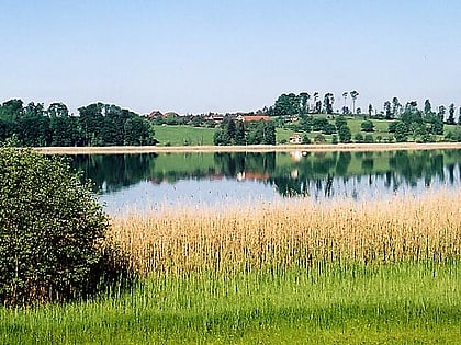 Lac de Pfäffikon