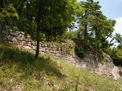ruine frohberg