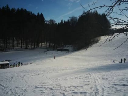 Skilift Regensberg