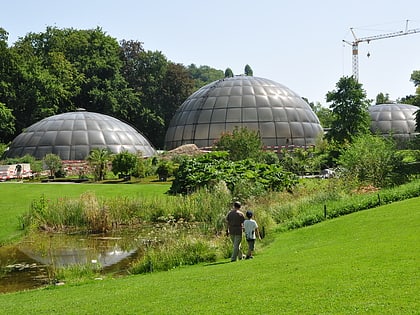 Botanischer Garten der Universität Zürich