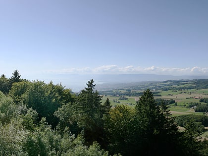 Mont de Gourze