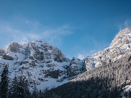 daubenhorn