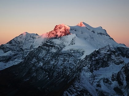 verbier