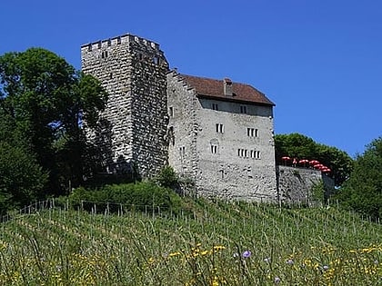 castillo de habsburgo