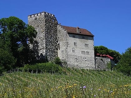 schloss habsburg