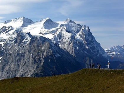 mittelhorn