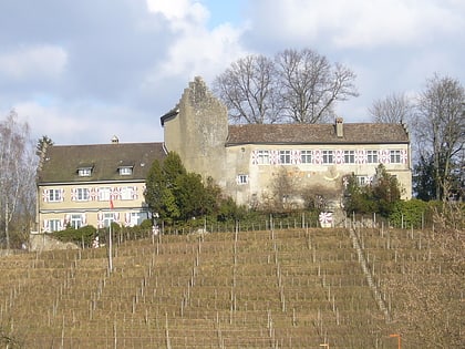 Schloss Schwandegg