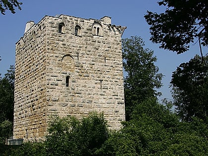 kastelen tower ruins