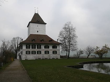 Schloss Wil