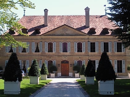 Château de Choully