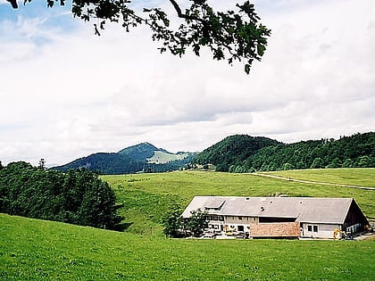 Weissenstein Pass