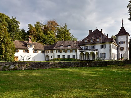 schloss au wadenswil