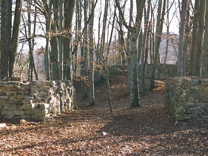 Ruine Sissacherfluh