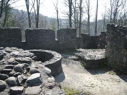 Ruine Wulp