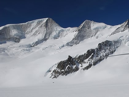 grosses wannenhorn alpes suisses jungfrau aletsch