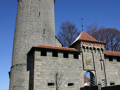 romont castle