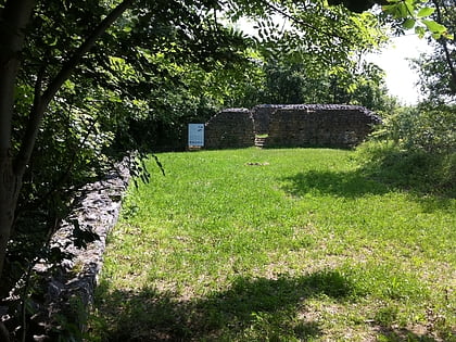 Ruine Altenberg