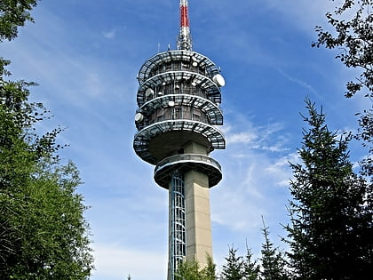 Gibloux Radio Tower