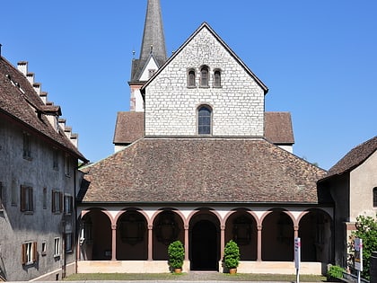 Münster Schaffhausen