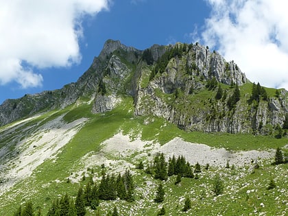 Schopfenspitz