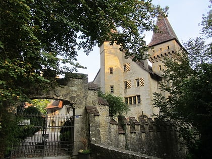 jeanjaquet castle