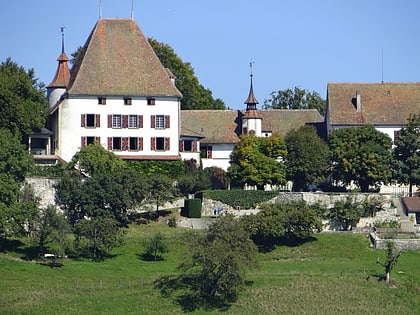 Château de Burgistein