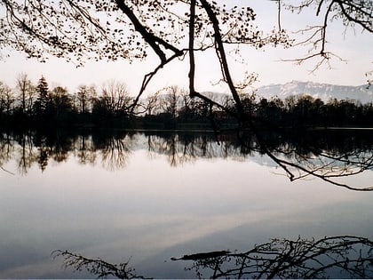 amsoldingersee