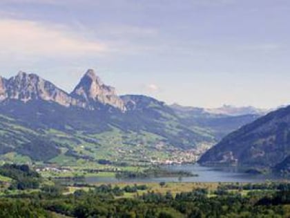 bote der urschweiz druckerei triner ag schwyz