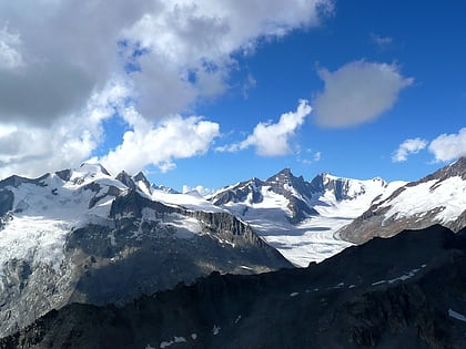 glaciar fiescher jungfrau aletsch bietschhorn