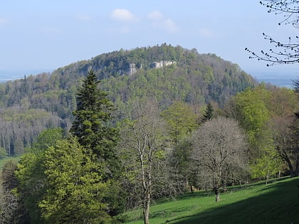Mont-Terri Castle