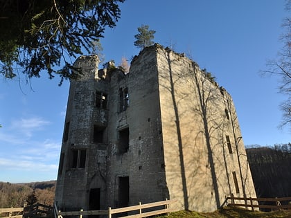 burgruine illens