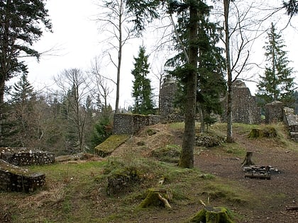 Ruine Alt-Signau