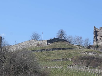 freudenberg castle