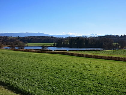 lac de seedorf