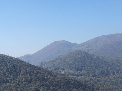 Monte Rogoria