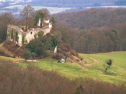 Ruine Neu-Schauenburg